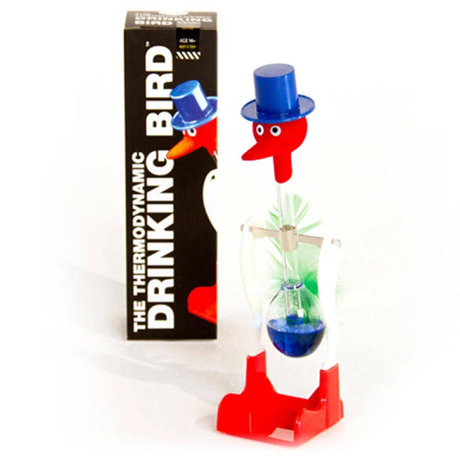 The Thermodynamic Drinking Bird